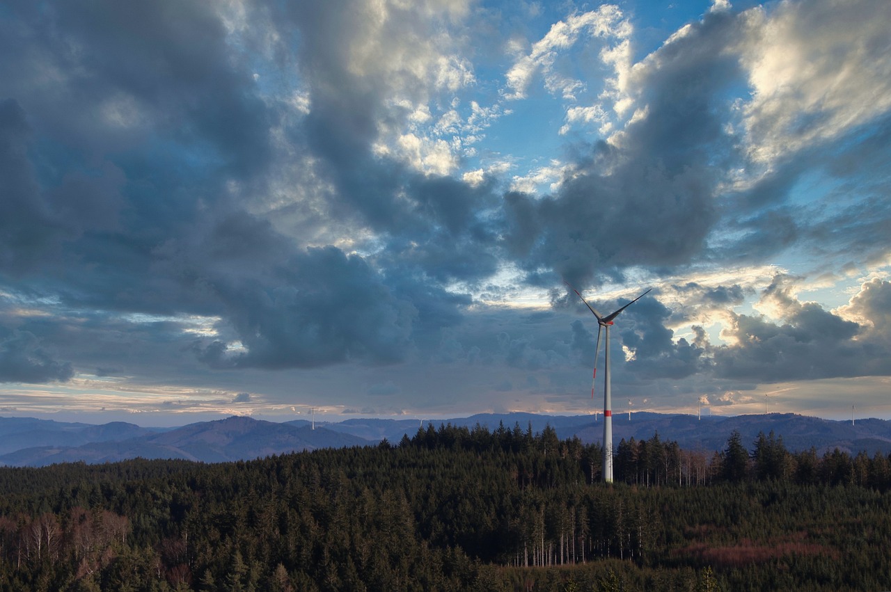 Je bedrijf verduurzamen: dit zijn de beschikbare subsidies